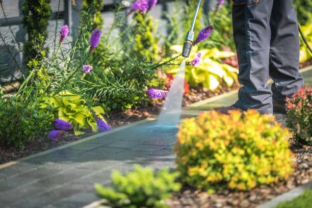Best Gas Station Cleaning  in Carey, OH